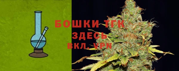 шишки Михайловск