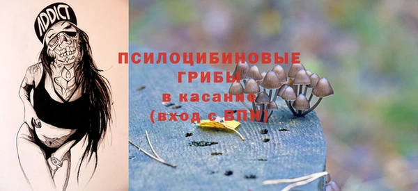 шишки Михайловск