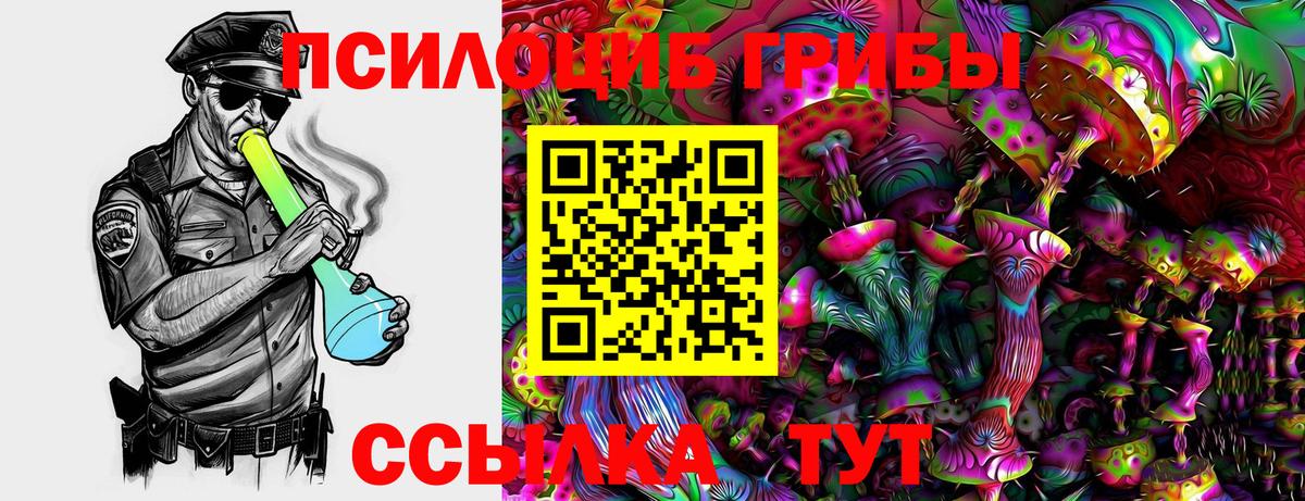 Галлюциногенные грибы Psilocybe  Вход с VPN  Новокубанск  Галлюциногенные грибы Psilocybe 