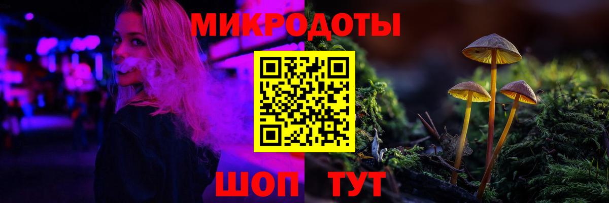 Галлюциногенные грибы мухоморы  Псилоцибиновые грибы Psilocybe  Новокубанск 
