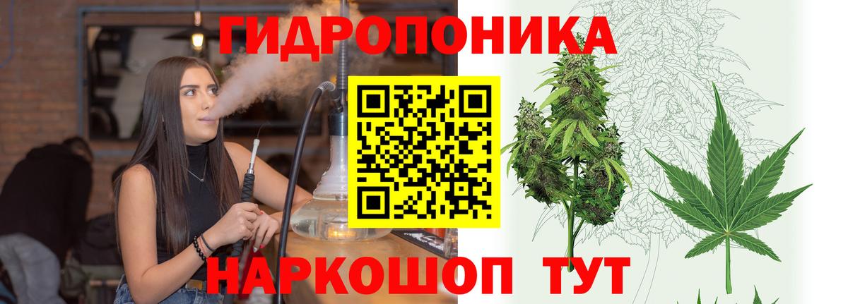 Каннабис Amnesia Новокубанск